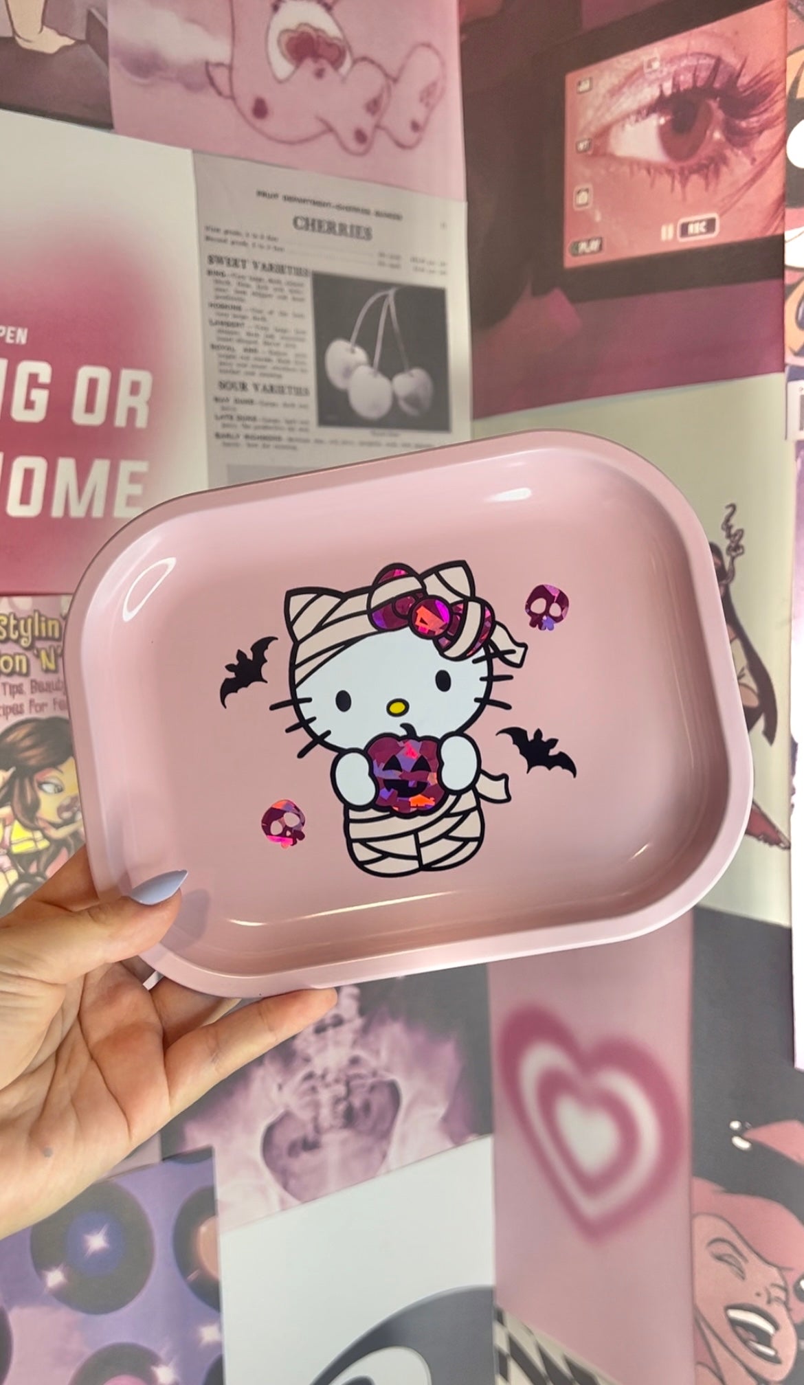 Kawaii Mummy Metal Tray